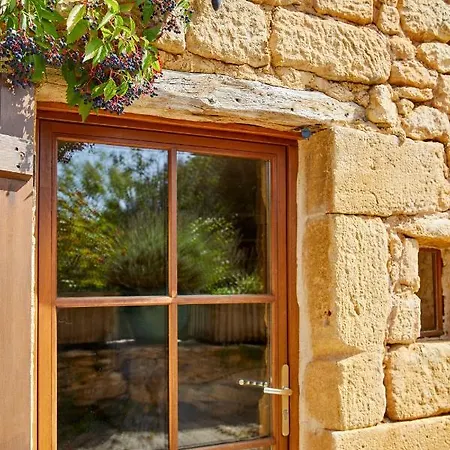 Domaine De Cantegrel - Gites De Charme Et Suite Troglodyte En Perigord Vitrac  Exterior photo