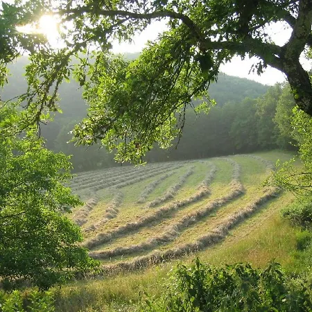 Domaine De Cantegrel - Gites De Charme Et Suite Troglodyte En Perigord Vitrac  Exterior photo
