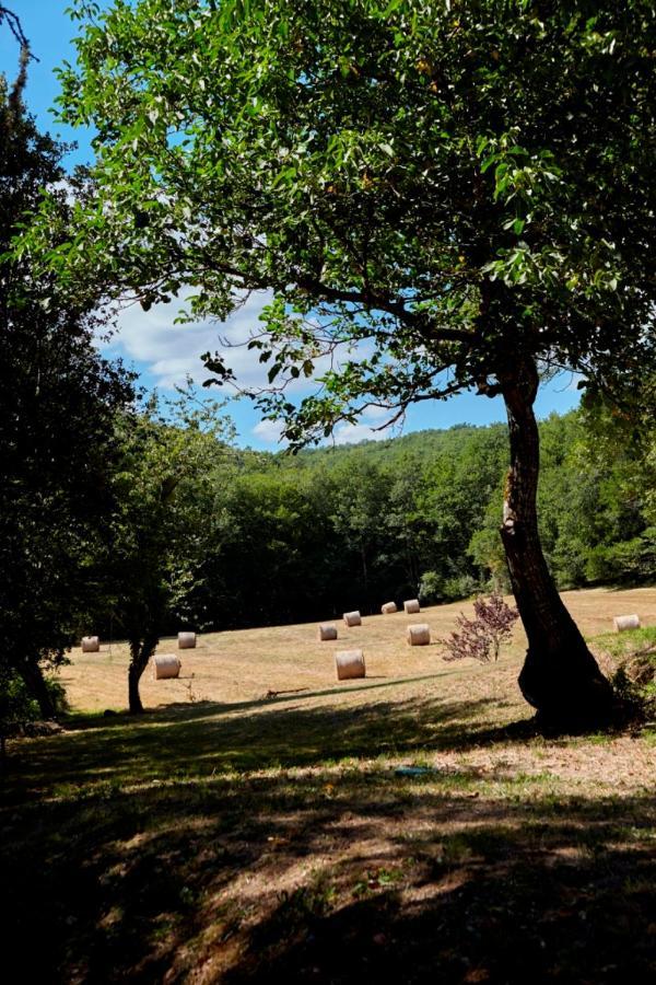 Holiday home Domaine De Cantegrel - De Charme Et Troglodyte En Perigord Vitrac (Dordogne)