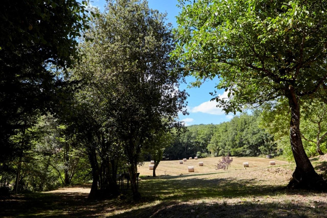Holiday home Domaine De Cantegrel - De Charme Et Troglodyte En Perigord Vitrac (Dordogne)