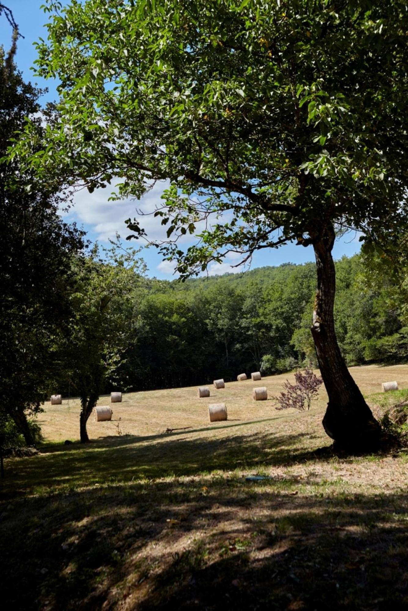 Domaine De Cantegrel - De Charme Et Troglodyte En Perigord Holiday home Vitrac (Dordogne)